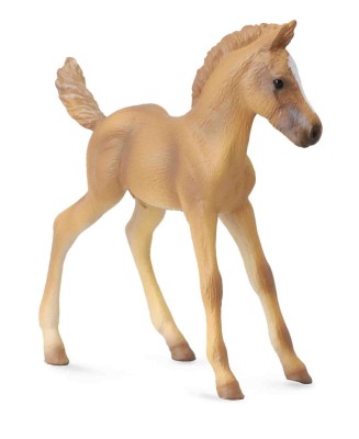 Haflinger Foal - Standing