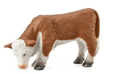 Hereford Calf (Grazing)