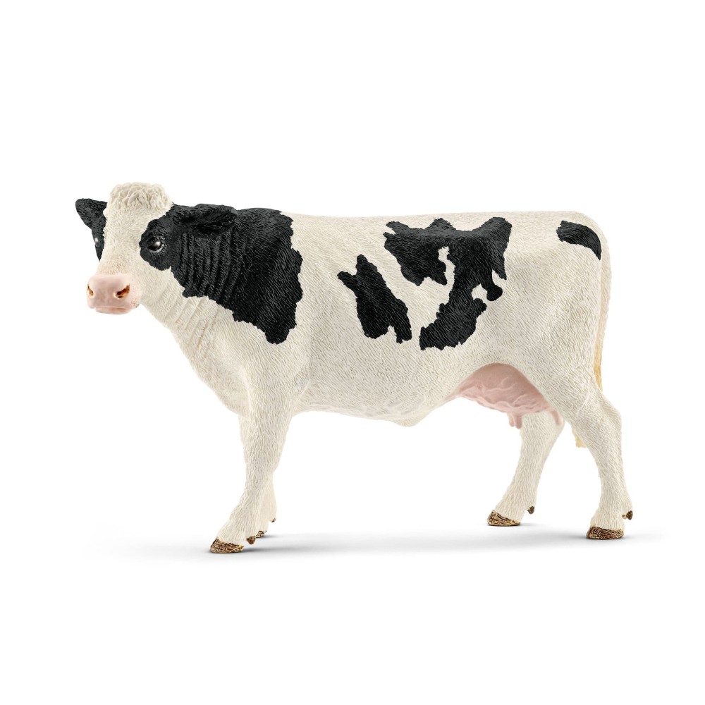 Holstein cow