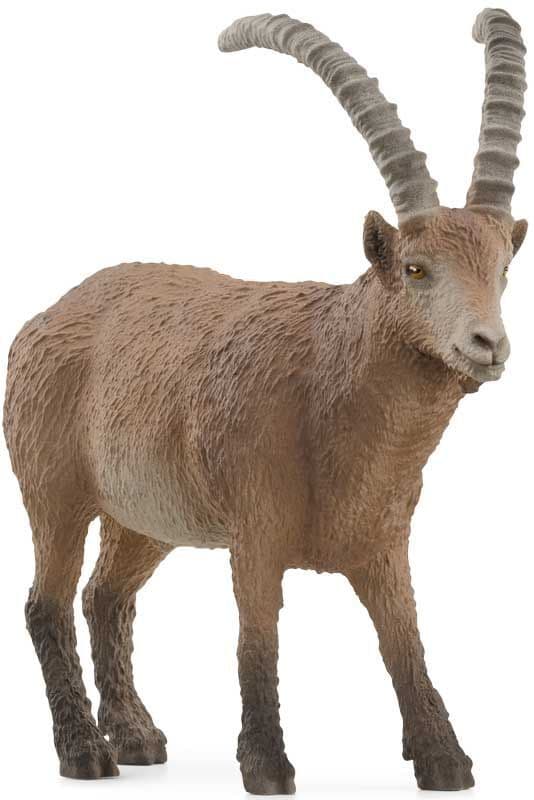 Ibex