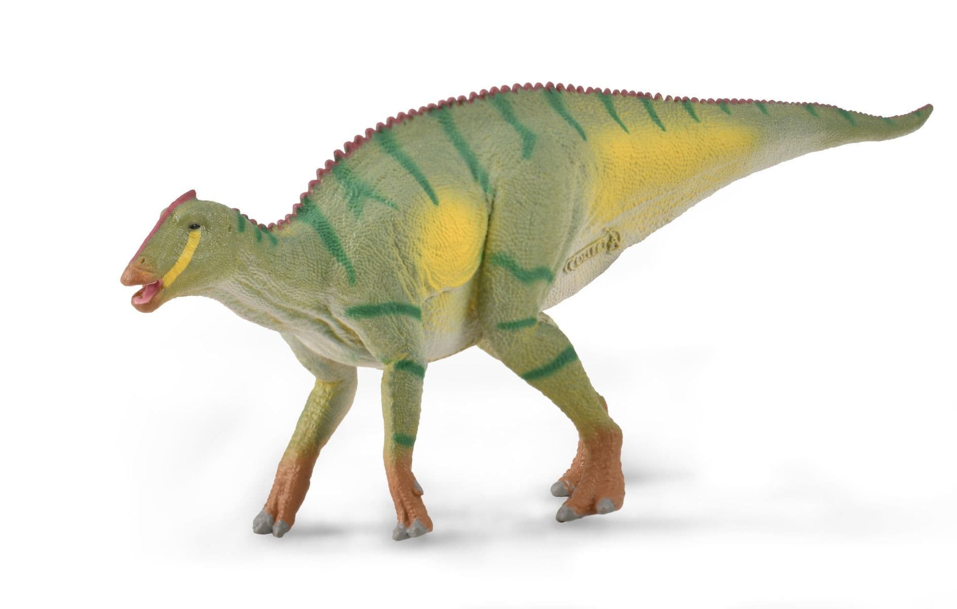 Kamuysaurus