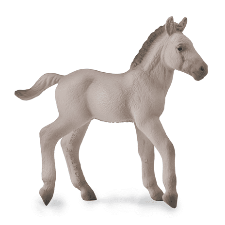 Konik Foal - Blue Dun