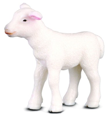 Lamb