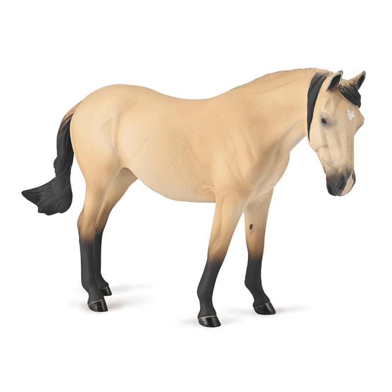 Lusitano Mare Buttermilk Buckskin