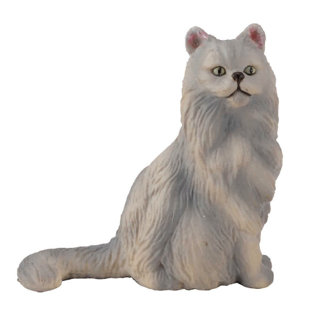 Persian Cat Sitting