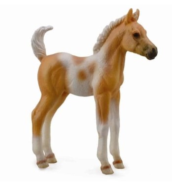 Pinto Foal Standing -Palomino