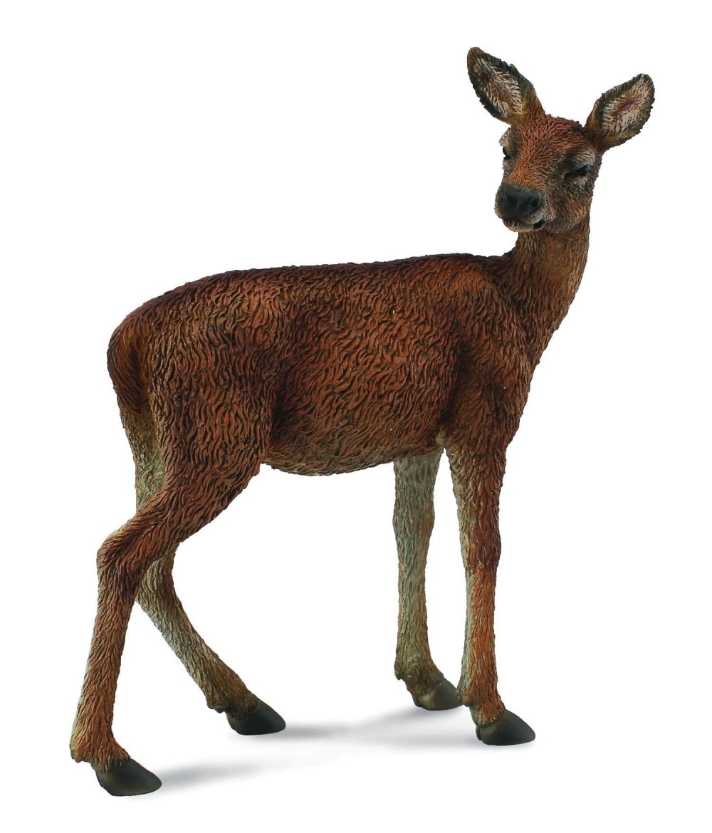 Red Deer Hind