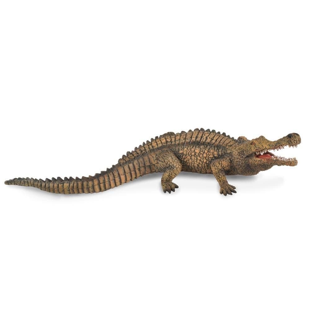 Sarcosuchus