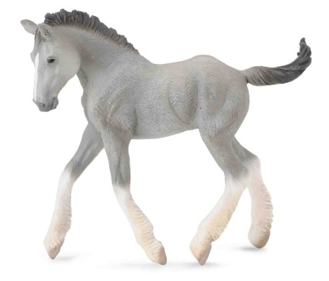 Shire Horse Foal - Grey