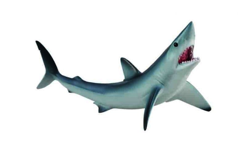 Shortfin Mako Shark