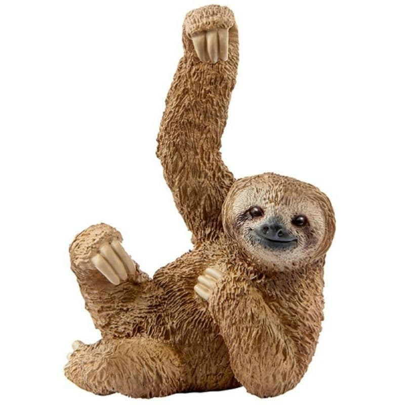 Sloth