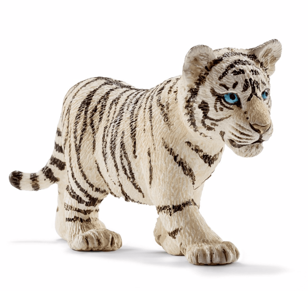 Tiger cub, white