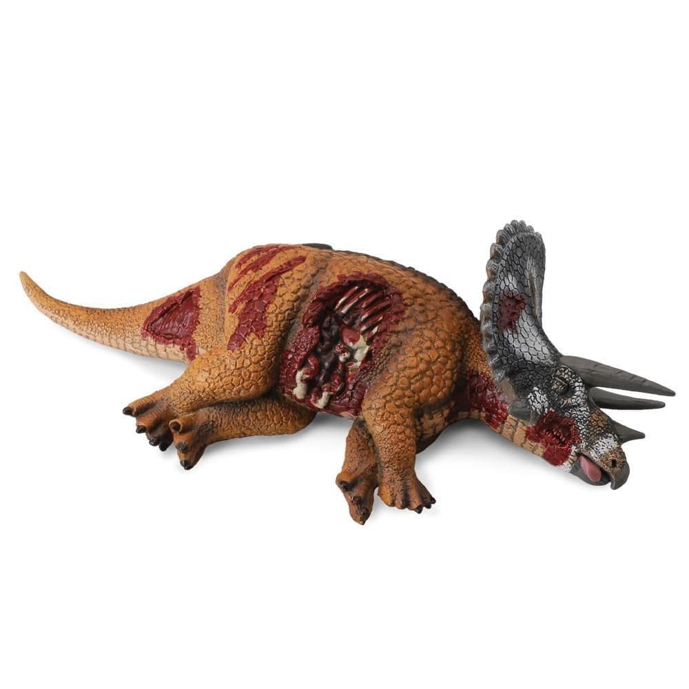 Triceratops Corpse