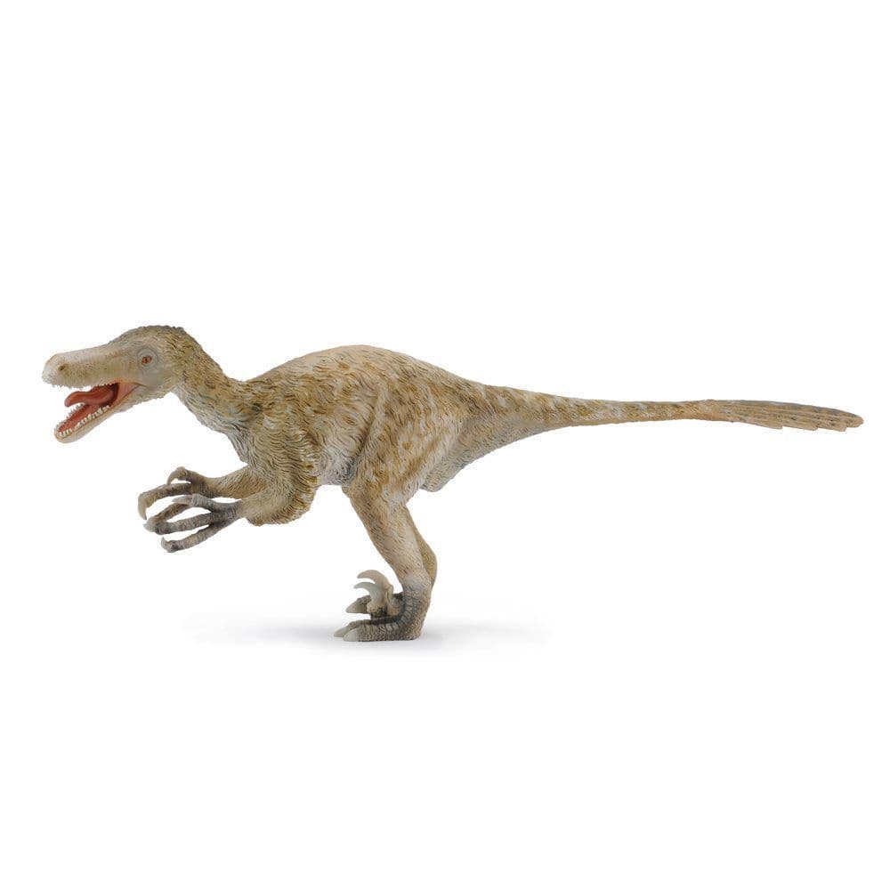 Velociraptor Deluxe 1:6 Scale