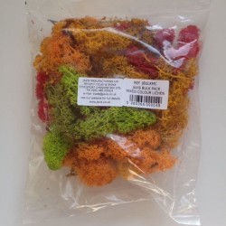 Lichen (Bulk Pack)