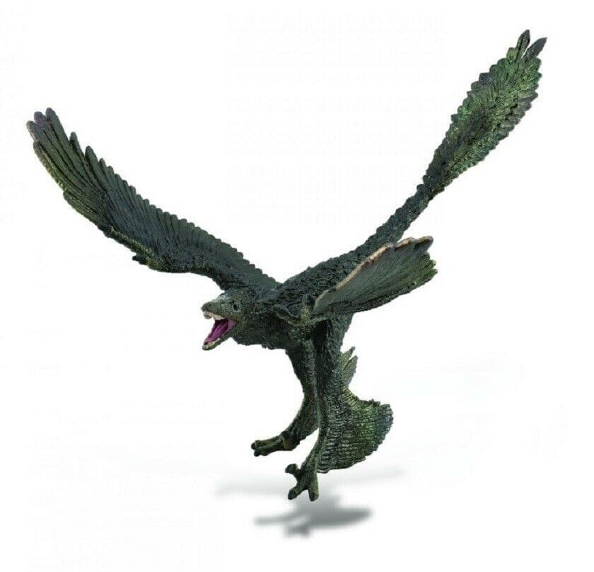 Microraptor - 1:6 Scale