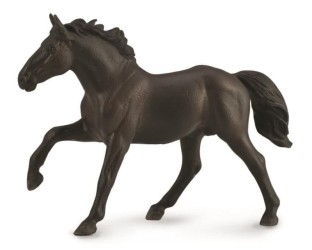 Nonius stallion