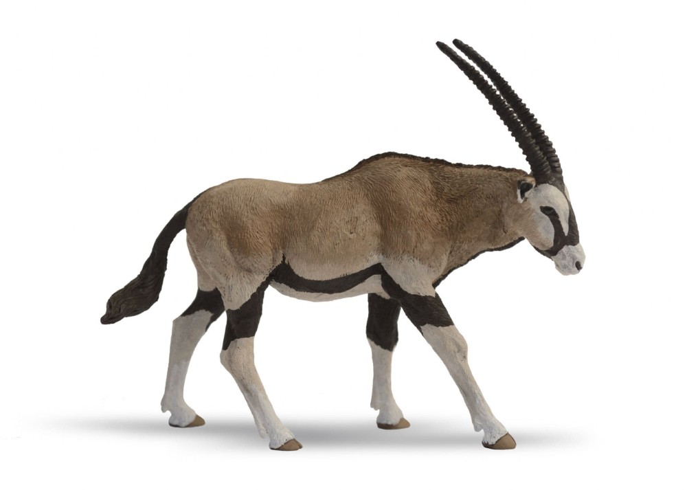 Oryx Antelope