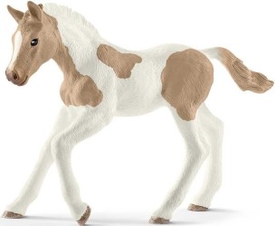 Paint horse foal