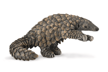 Pangolin