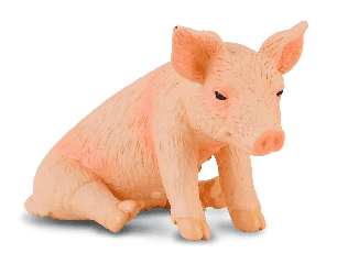 Piglet Sitting