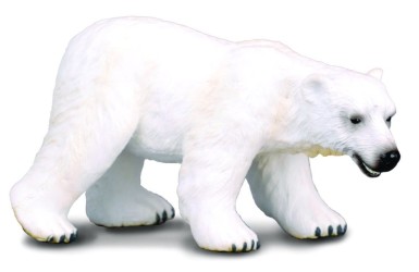 Polar Bear