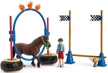 Pony Agility Race