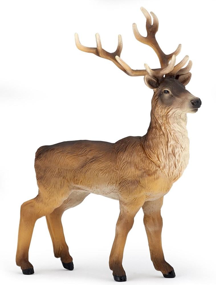 Red Deer Stag