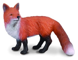 Red Fox