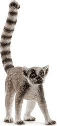 Ring Tailed Lemur