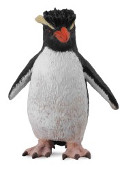 Rockhopper Penguin