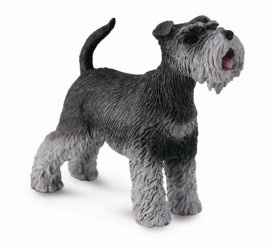 Schnauzer