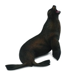 Sea Lion