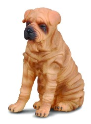 Shar Pei