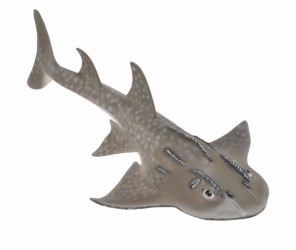 Shark Ray - Bowmouth Guitarfish