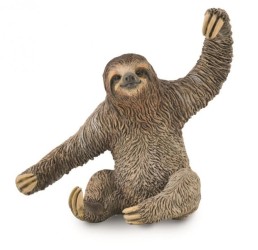 Sloth