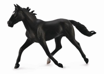 Standardbred Pacer Stallion Black