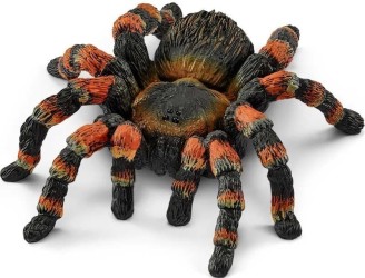 Tarantula