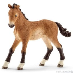 Tennesse Walker Foal