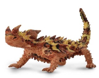 Thorny Dragon