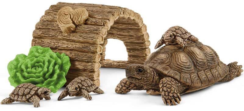 Tortoise Home