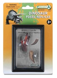 Tyrannosaurus Rex Hand Claw & Hand Replica In Display Case