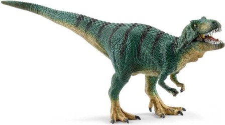 Tyrannosaurus Rex juvenile