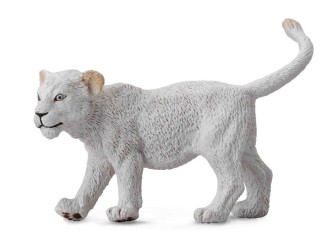 White Lion Cub Walking